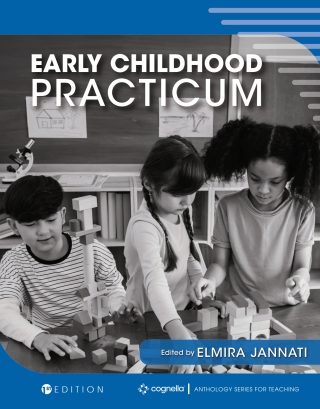 Cover image: Early Childhood Practicum 1st edition 9798823321310
