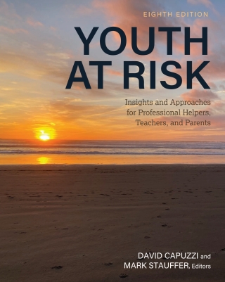 Cover image: Youth at Risk 8th edition 9798823325356