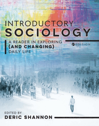Cover image: Introductory Sociology 1st edition 9798823333801