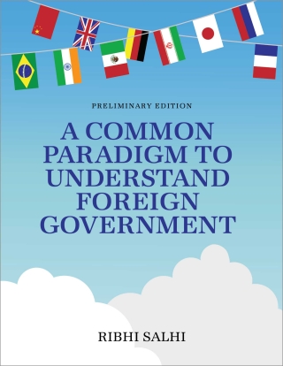 Cover image: A Common Paradigm to Understand Foreign Government 1st edition 9798823333948