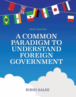 Cover image: A Common Paradigm to Understand Foreign Government 1st edition 9798823333955