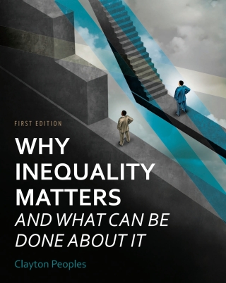 Cover image: Why Inequality Matters and What Can Be Done About It 1st edition 9798823341813