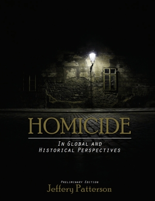 Cover image: Homicide: in Global and Historical Perspectives 1st edition 9798823347853