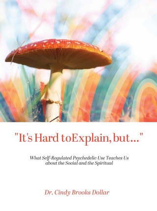 Cover image: "It's Hard to Explain, but..." 1st edition 9798823350334