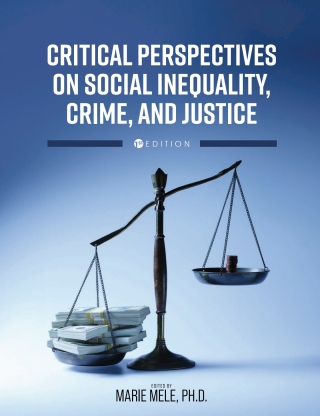 Cover image: Critical Perspectives on Social Inequality, Crime, and Justice 1st edition 9798823356107