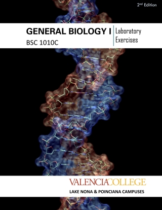 Cover image: BSC 1010c 2nd edition 9660202432675