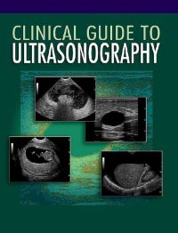 Cover image: Clinical Guide to Ultrasonography 1st edition 9780323019385