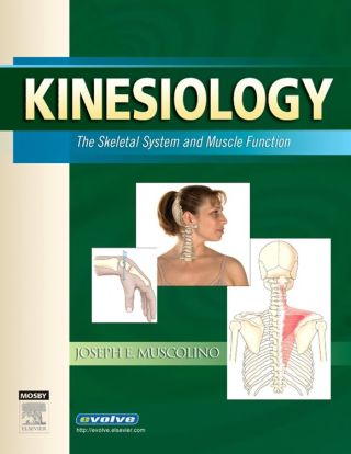 Cover image: Kinesiology: The Skeletal System and Muscle Function 1st edition
