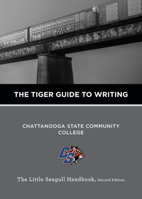 Cover image: The Tiger Guide to Writing 9780393253375