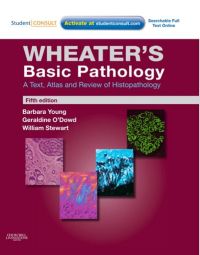 Cover image: Wheater's Basic Histology 5th edition 9780443067976