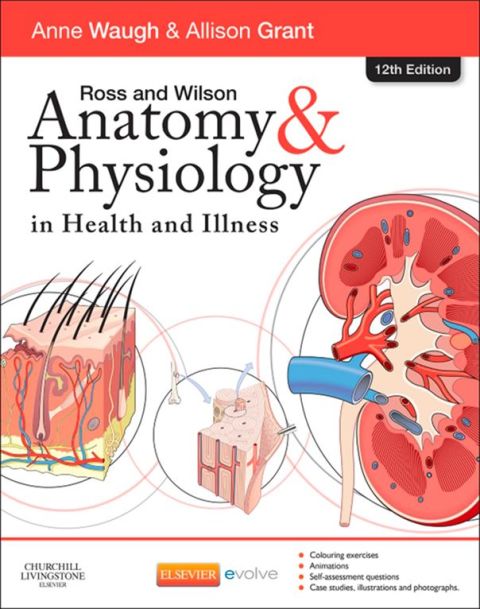 Ross and Wilson Anatomy and Physiology in Health and Illness, 12th Edition - FULL INSTANT DOWNLOAD | PDF DOCX EPUB