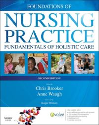 Cover image: Foundations of Nursing Practice 2nd edition 9780723436614