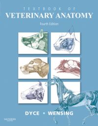 Cover image: Textbook of Veterinary Anatomy 4th edition 9781416066071