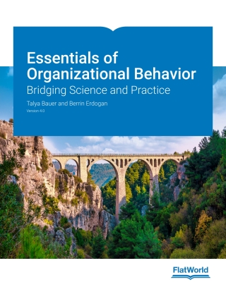 Cover image: Essentials of Organizational Behavior: Bridging Science and Practice v4.0 9781453339244