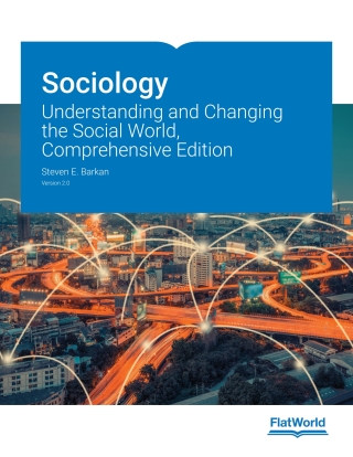 Cover image: Sociology: Understanding and Changing the Social World, Comprehensive Edition v2.0 9781453378984