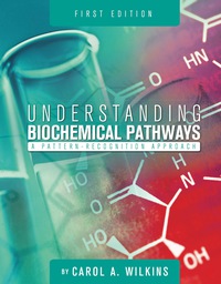 Cover image: Understanding Biochemical Pathways: A Pattern-Recognition Approach 1st edition 9781516509973