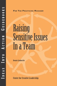 Cover image: Raising Sensitive Issues in a Team 1st edition 9781604910216