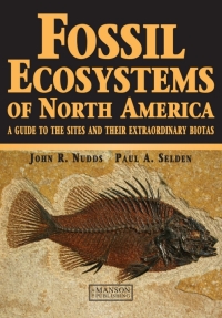 Cover image: Fossil Ecosystems of North America 1st edition 9781840760880