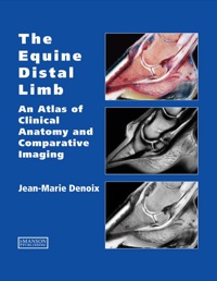 Imagen de portada: The Equine Distal Limb 1st edition 9781840760019