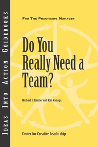 Cover image: Do You Really Need a Team? 1st edition 9781882197668