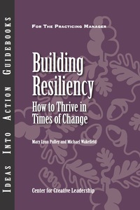 Cover image: Building Resiliency: How to Thrive in Times of Change 1st edition 9781882197675