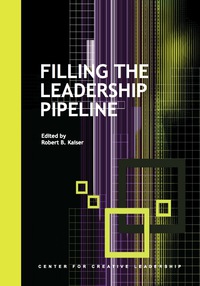 Cover image: Filling the Leadership Pipeline 1st edition 9781882197903