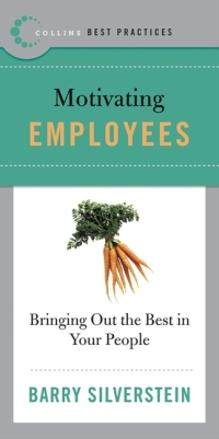 Cover image: Best Practices: Motivating Employees 9780061145612