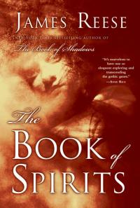 Imagen de portada: The Book of Spirits 9780061739552