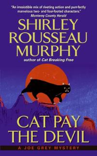 Imagen de portada: Cat Pay the Devil 9780060578138