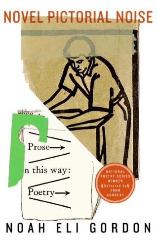 Cover image: Novel Pictorial Noise 9780061257032