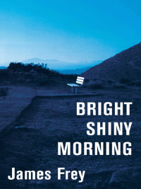 Cover image: Bright Shiny Morning 9780061573170