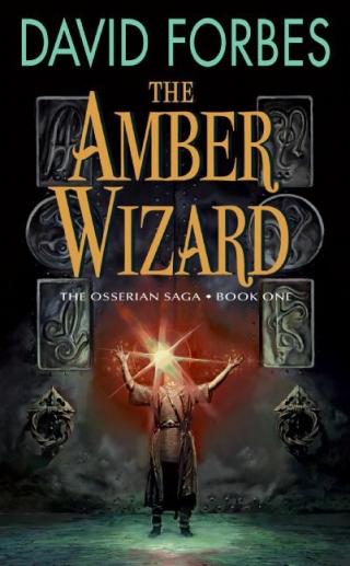 Immagine di copertina: The Amber Wizard 9780060820114