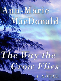 Titelbild: The Way the Crow Flies 9780060586379