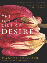 Imagen de portada: The Other Side of Desire 9780060885564