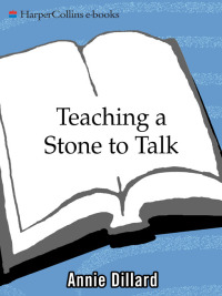 Cover image: Teaching a Stone to Talk 9780060915414