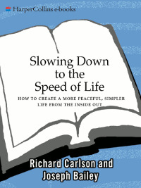 Omslagafbeelding: Slowing Down to the Speed of Life 9780061804298