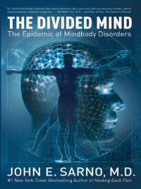 Cover image: The Divided Mind 9780061174308