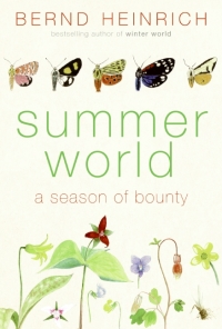 Cover image: Summer World 9780060742188