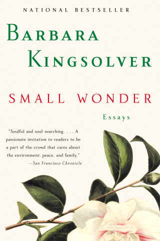 Cover image: Small Wonder 9780060504083