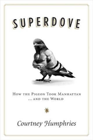 Cover image: Superdove 9780061873461