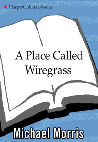 Imagen de portada: A Place Called Wiregrass 9780060727109