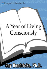 Omslagafbeelding: A Year of Living Consciously 9780062515889