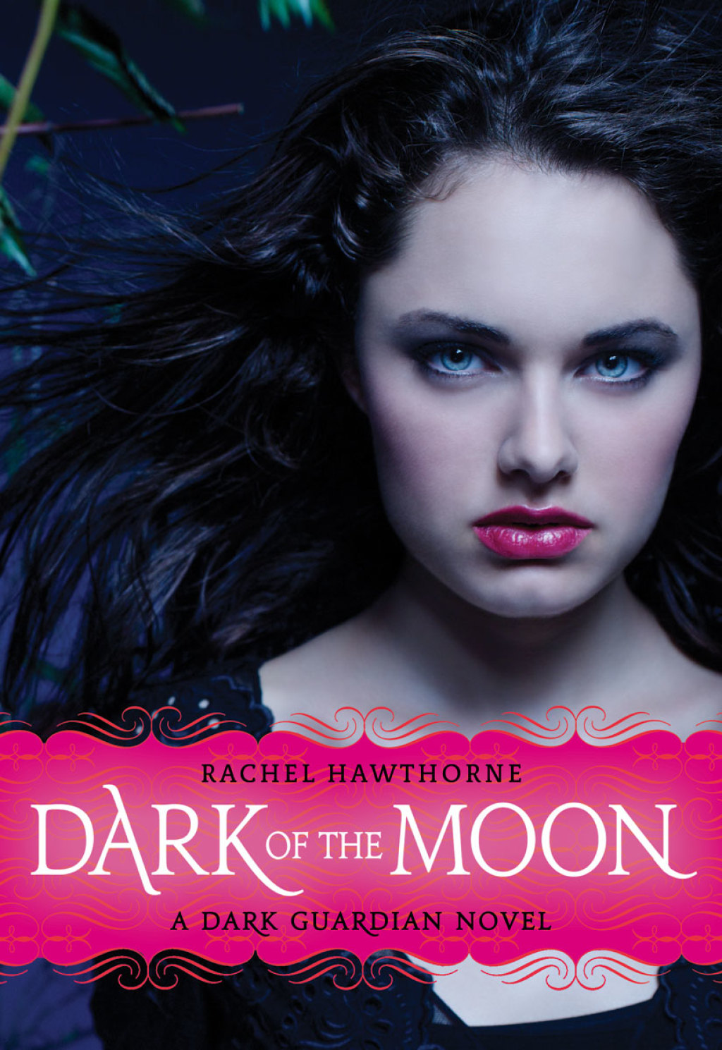 Dark Guardian 3 Dark of the Moon eBook