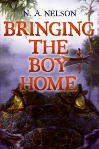 Cover image: Bringing the Boy Home 9780060886981