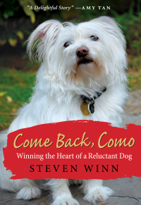 Cover image: Come Back, Como 9780061802584