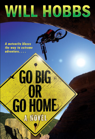 Cover image: Go Big or Go Home 9780060741433