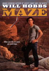 Cover image: The Maze 9780380729135