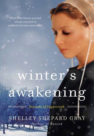 Omslagafbeelding: Winter's Awakening 9780061852220