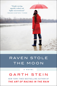 Titelbild: Raven Stole the Moon 9780061806384