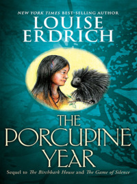 Cover image: The Porcupine Year 9780064410304